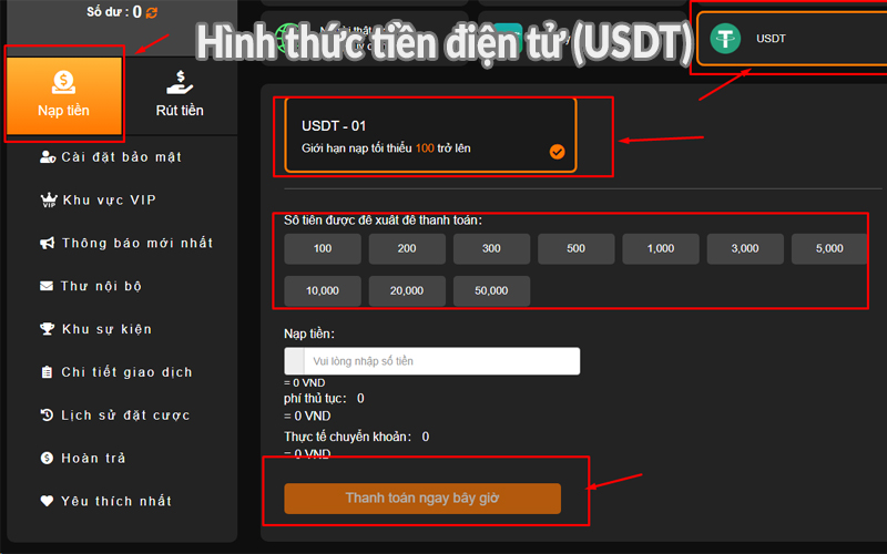 Hình thức tiền điện tử (USDT)